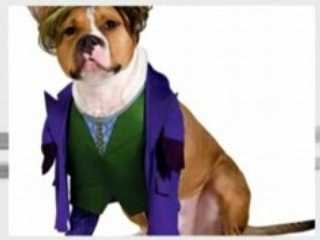 Joker Halloween Costumes - Newest Collection