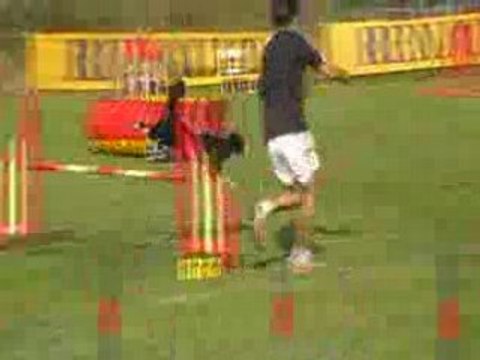 Agility belgique vidéooo (3)