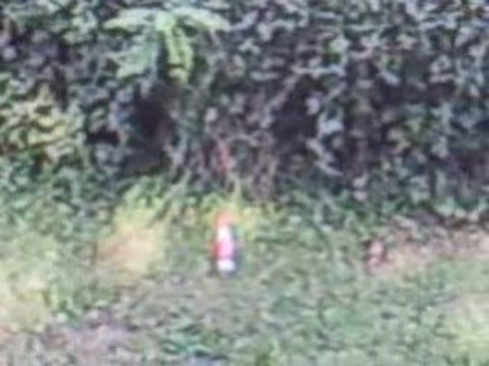 Cours de Connerie de jeune N°1