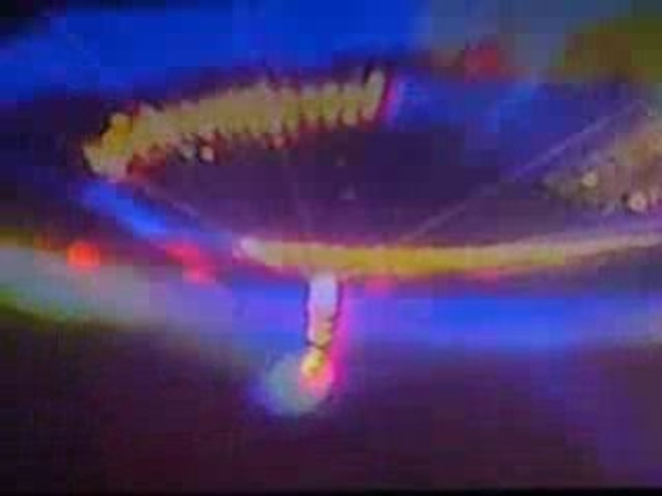 Dj. Tiesto in concert by Skyunderworld3