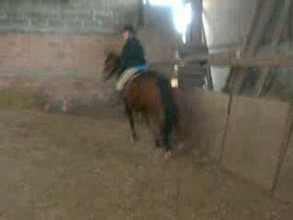 moi est ma jument kitty en cso