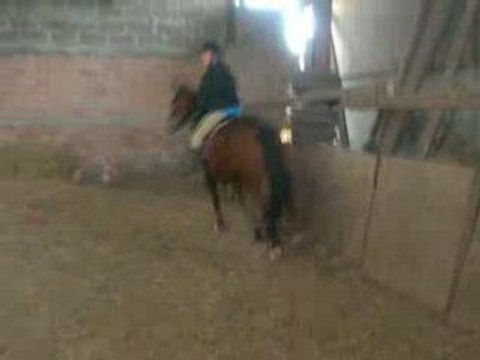 moi est ma jument kitty en cso