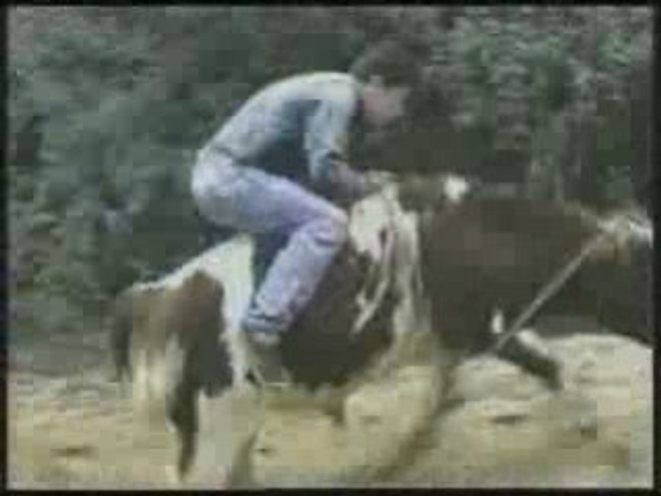 chutes diverses avec des animaux