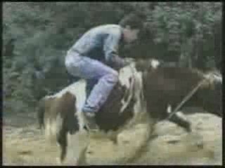 chutes diverses avec des animaux