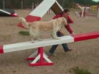 Agility  apple