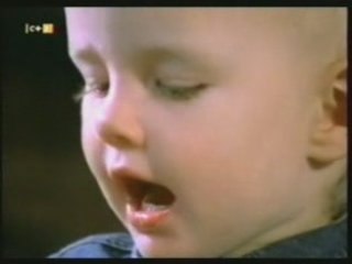 Desarrollo del lenguaje: De las palabras a las frases