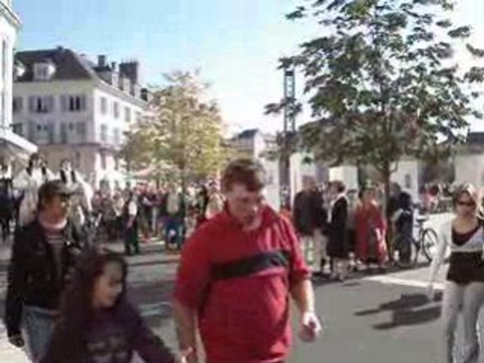 FETE DES VENDANGES CHARTRES 2