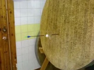 It Must Hit The Pin Pon Ball