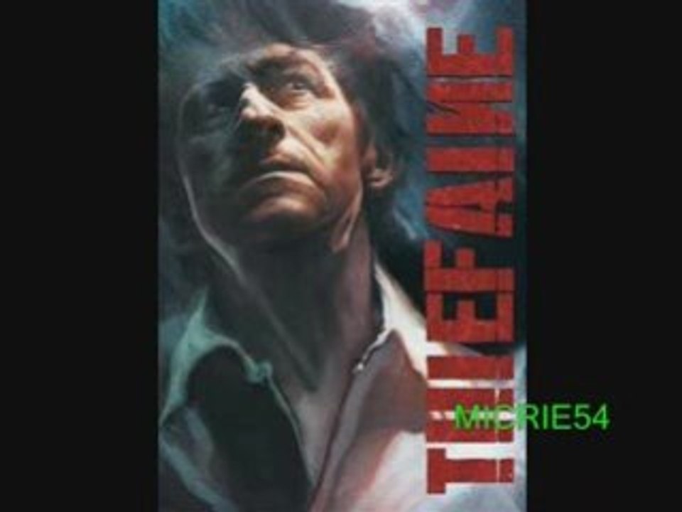 Thiefaine audio du live "L'étranger dans la glace"