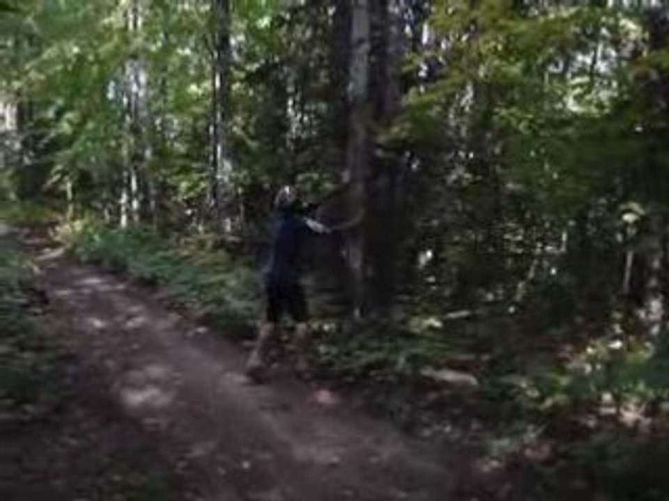 comment s'occuper en foret : Part II