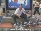 Cali Hotels - Man covered with birds. Cali Colombia Park.