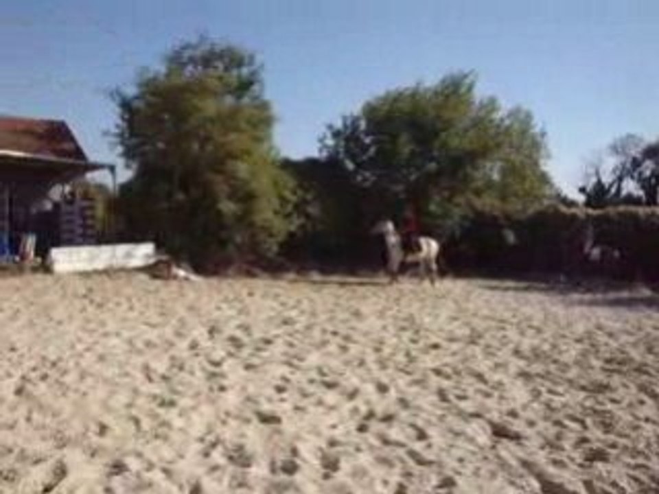 MOV02185