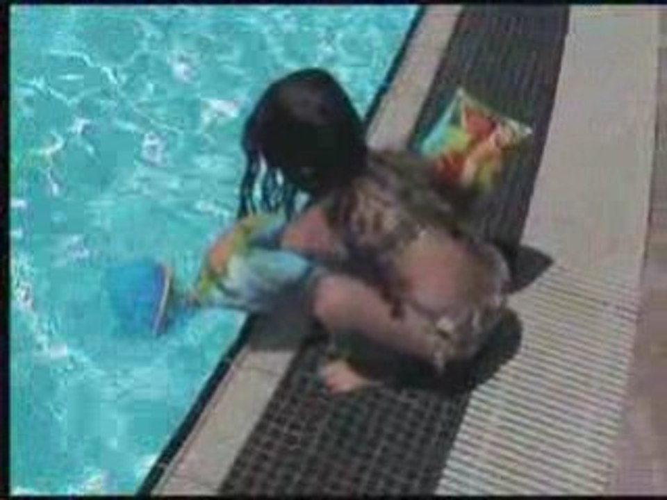 PYRENEES windows media