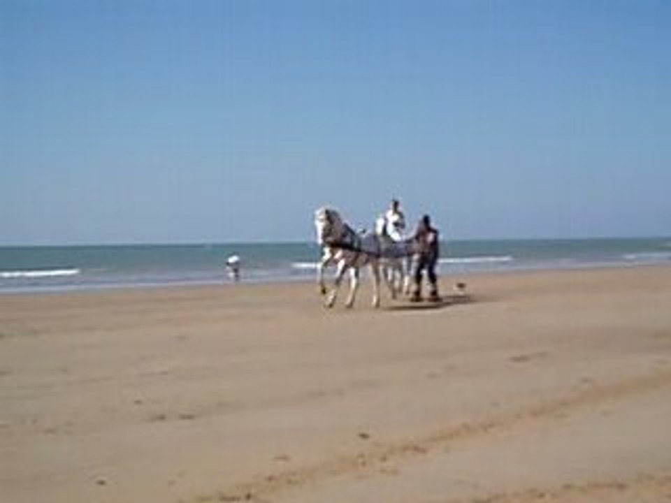 St Jean de Mont La Caval'Oceane