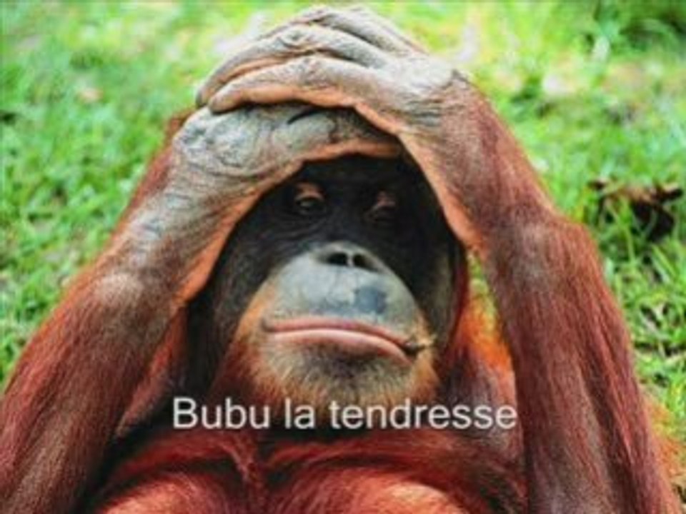 Bienvenue dans la cave septembre 2008