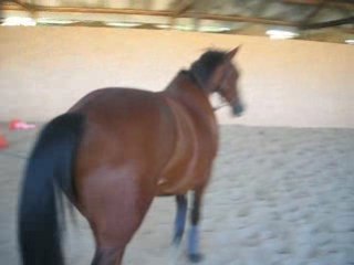 Passage de la "bache"