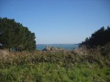 Ile calot