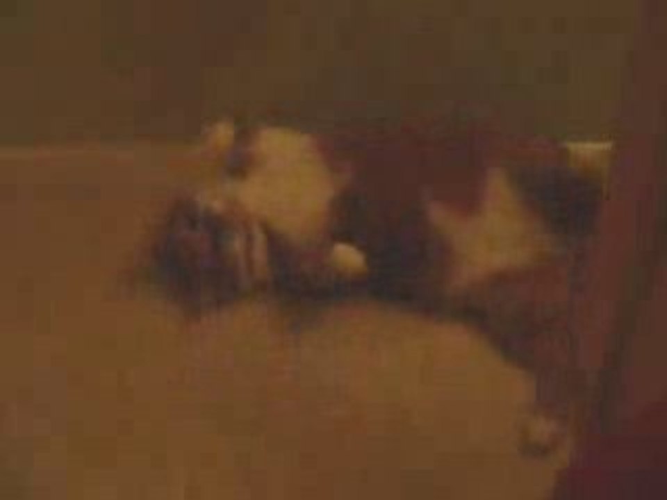 Titou 11_08_07