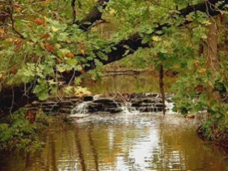 Numéro 3 Robert Cogoi Près de ma rivière 27092008
