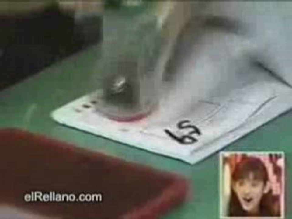 Fonctionnaire japonnaise