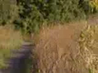 Louloute saut 1