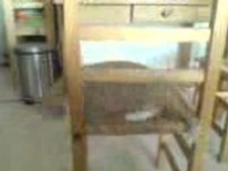 Kinaye joue avec sa souris