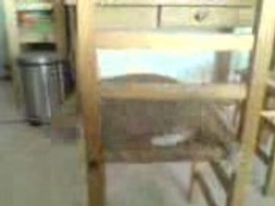 Kinaye joue avec sa souris