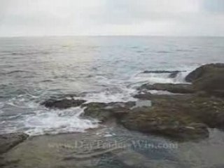 N19 Online Stock Trading Coach