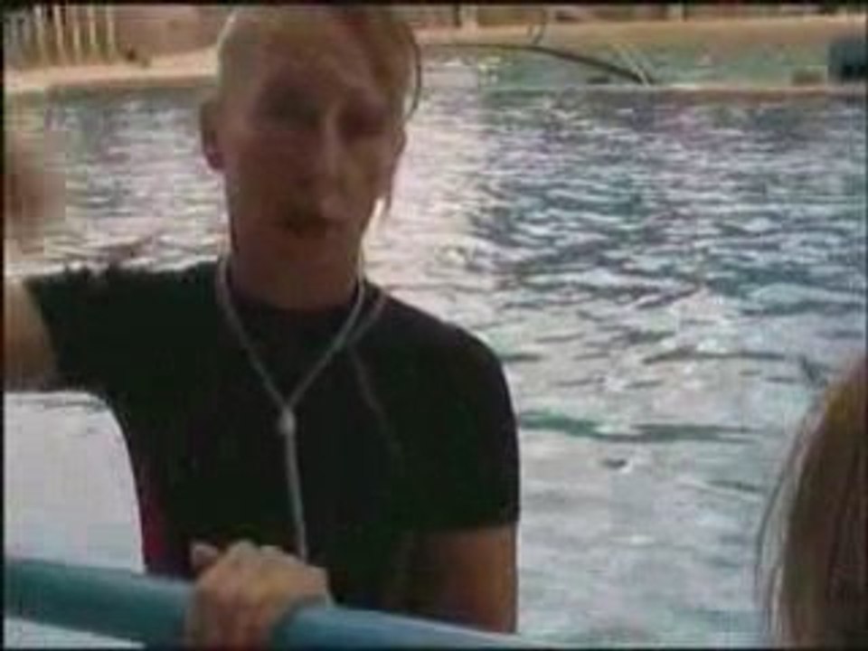 Cassandre et le dauphin