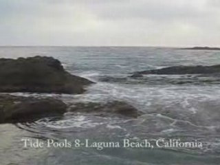 N22 Online Stock Trading Coach