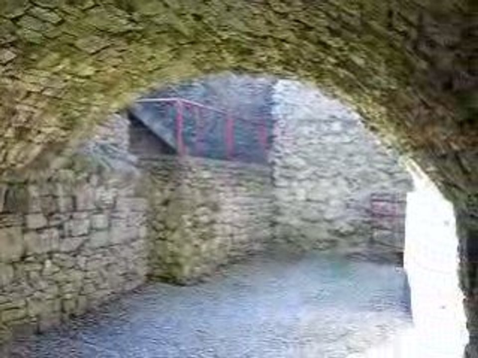 DSCN5964