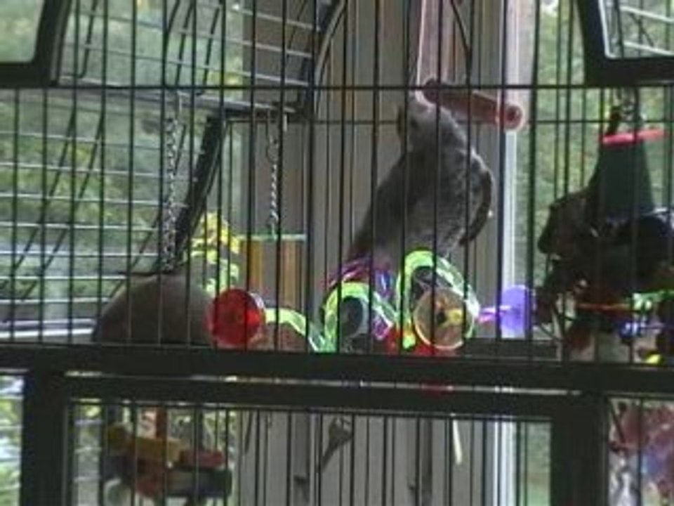 Attention hein ça va barder