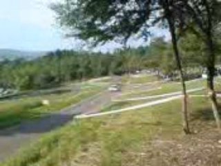 Gherardi Suran 2008 Overview