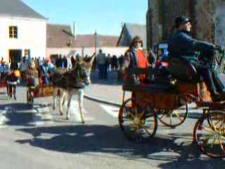 Fête aux Ânes 2008 à Chatillon en Dunois part.0019
