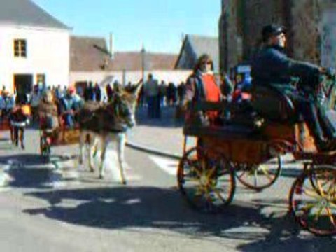 Fête aux Ânes 2008 à Chatillon en Dunois part.0019
