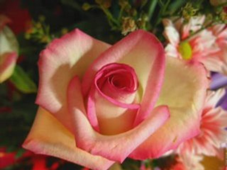 moi moi et toujours moi