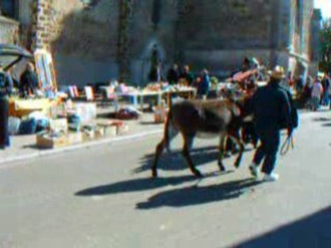 Fête aux Ânes 2008 à Chatillon en Dunois part.0020