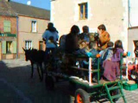 Fête aux Ânes 2008 à Chatillon en Dunois part.0021