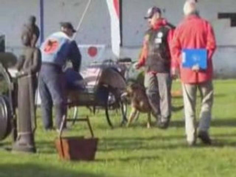 Djaick championnat