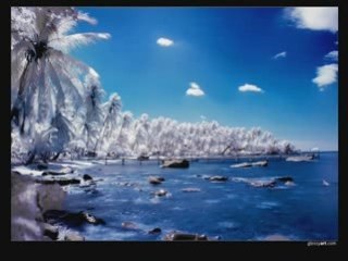 La Faune La Flore et l'Homme