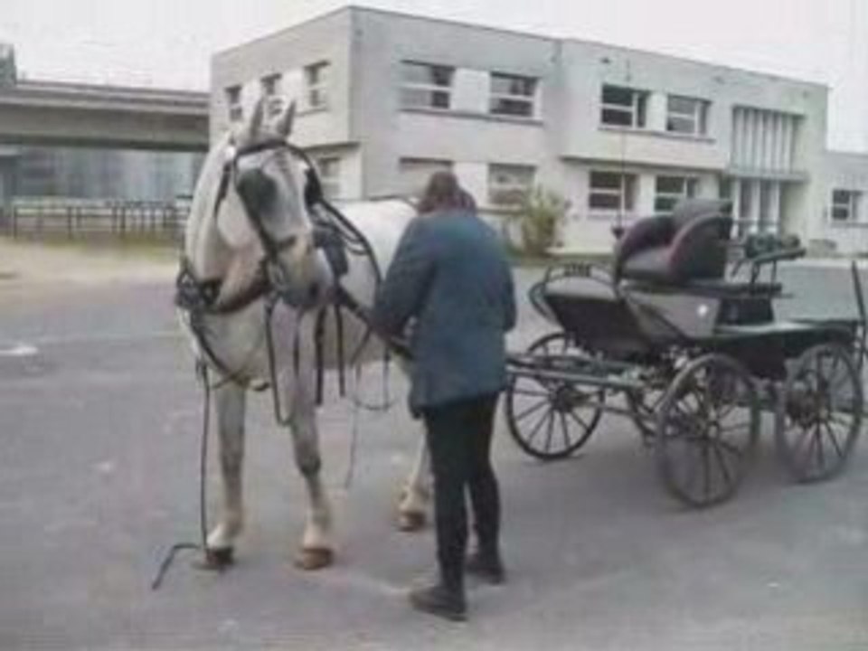 Mise à l'attelage