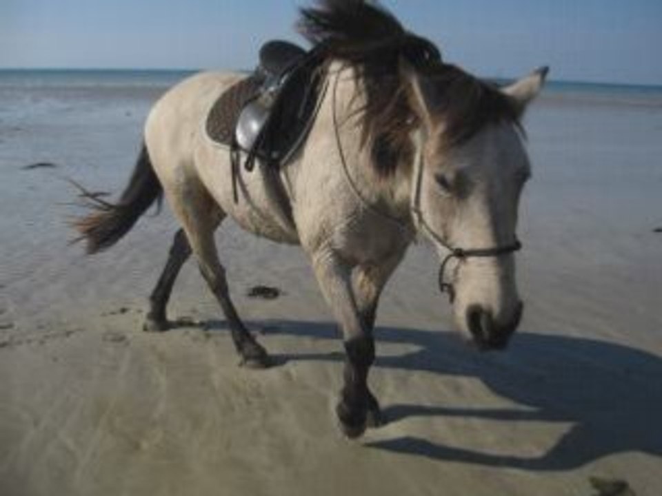 montage liberté a la plage