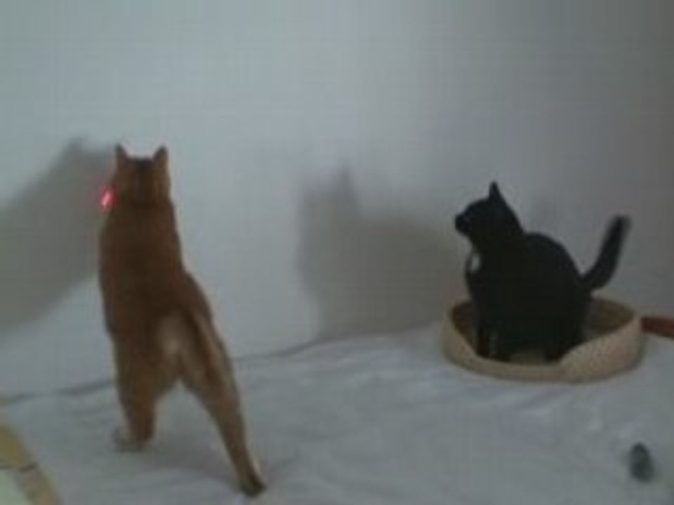 Nina Pixou et le rayon laser