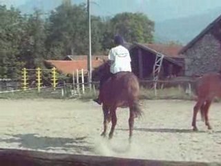 David galop avec Genêt