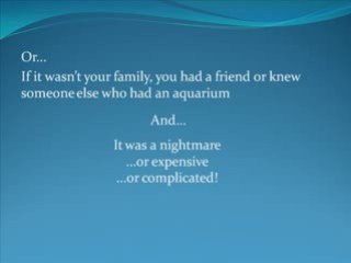 Keeping Tropical Pet Fish