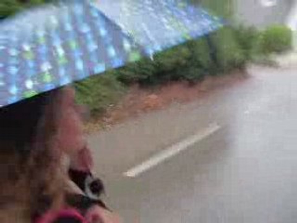 Rain Oh Rain
