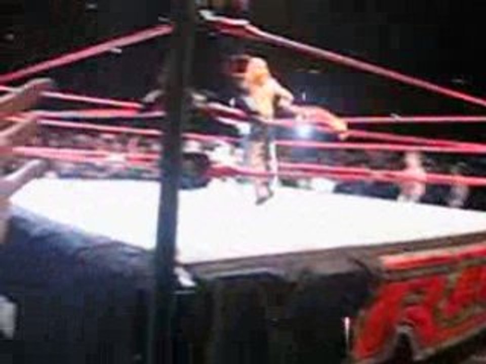 Entrée SHAWN MICHAELS a raw bercy