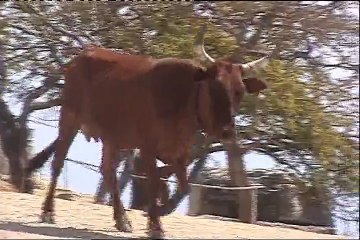 Angola - da Leba ao Lubango