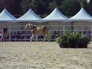 Pauline et Naïade aux RDV étho (5ème partie)