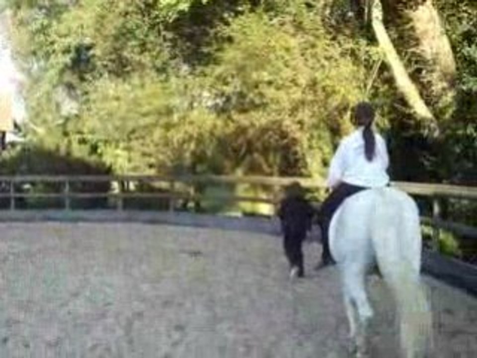 trot a cru